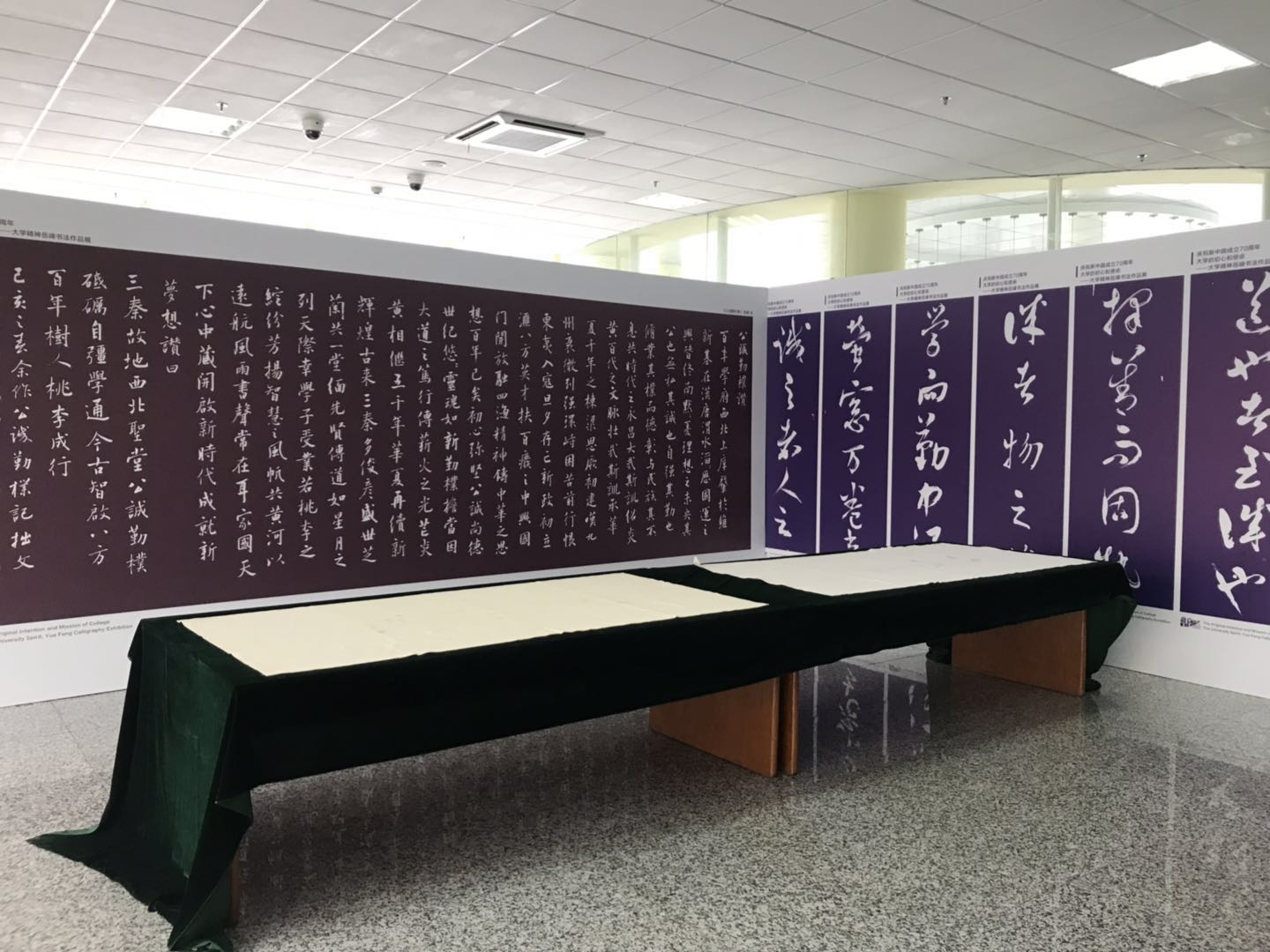 dhshijin4