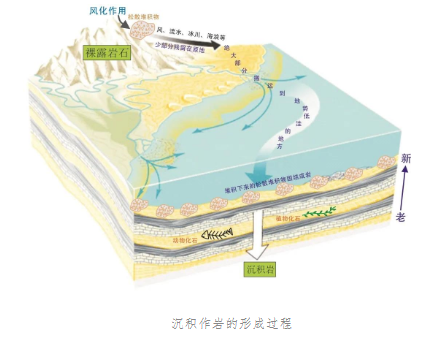 地球微科普|岩石家族——沉积岩