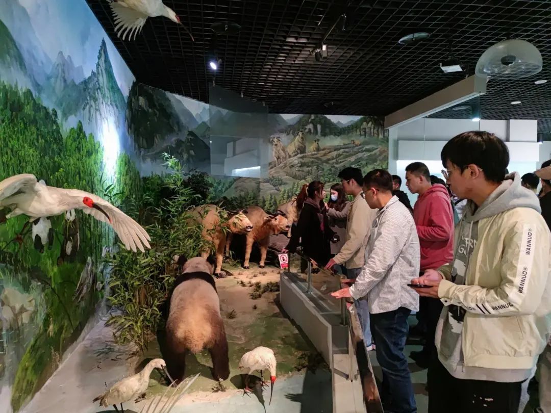 喜讯|西北大学博物馆获批秦岭生态环境保护宣传教育基地