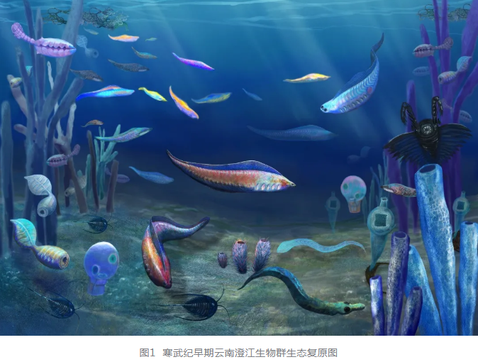 舒德干院士团队全面总结澄江生物群核心价值