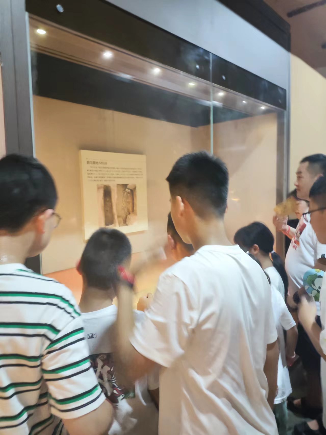 天朗来我馆参加研学活动