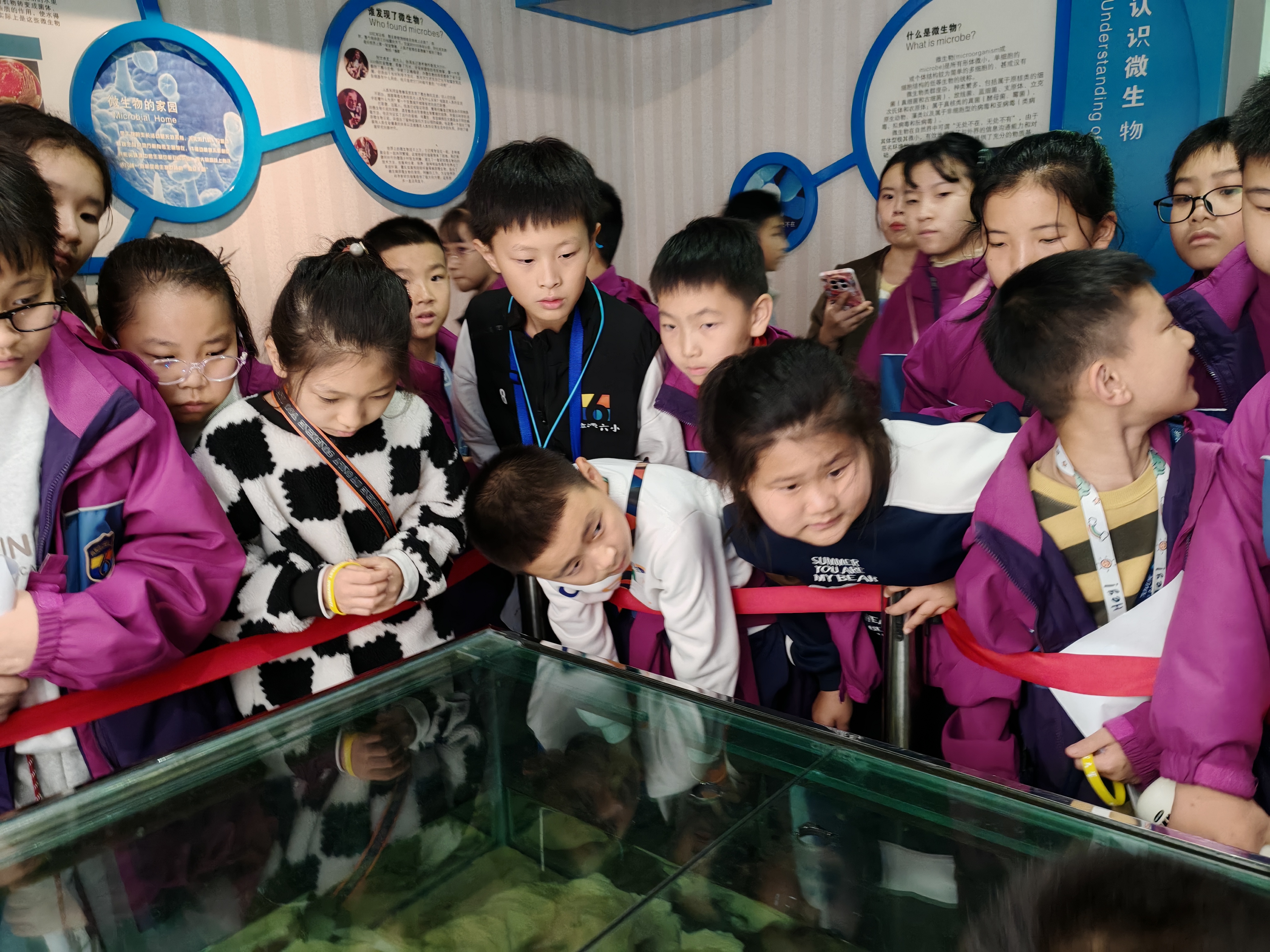 浐灞第?小六?学来我馆参加研学活动