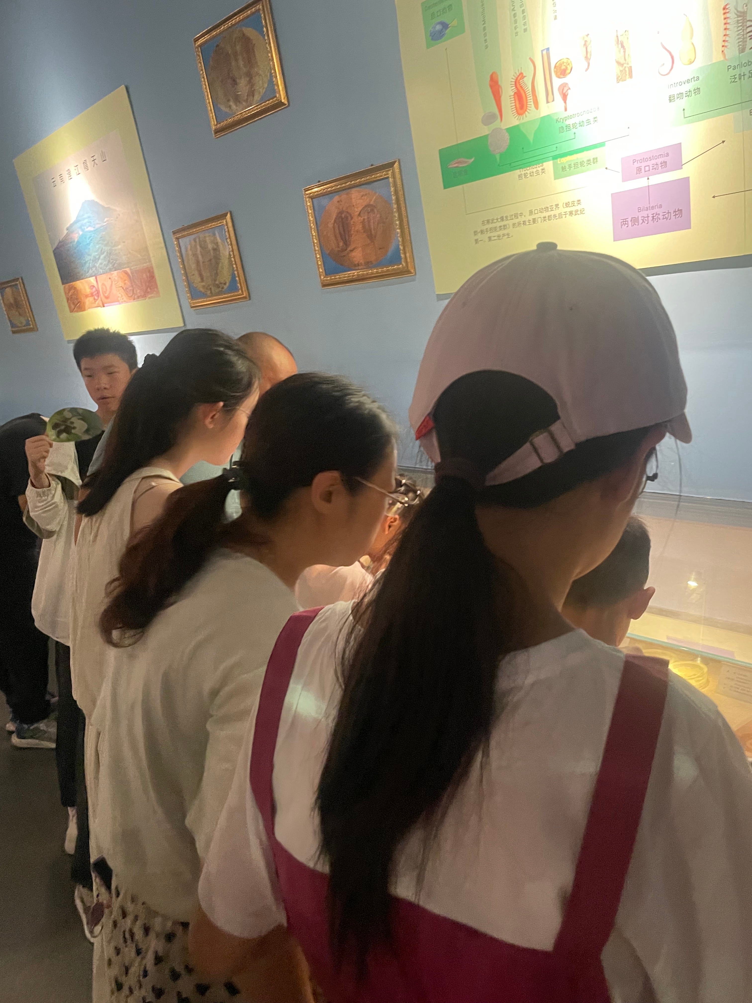 招商来我馆参加研学活动