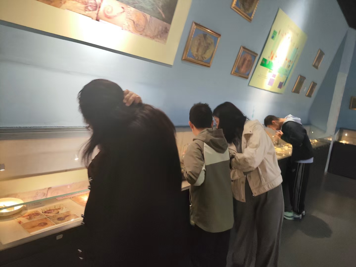 嘉华旅社走进西北大参学?加研学活动