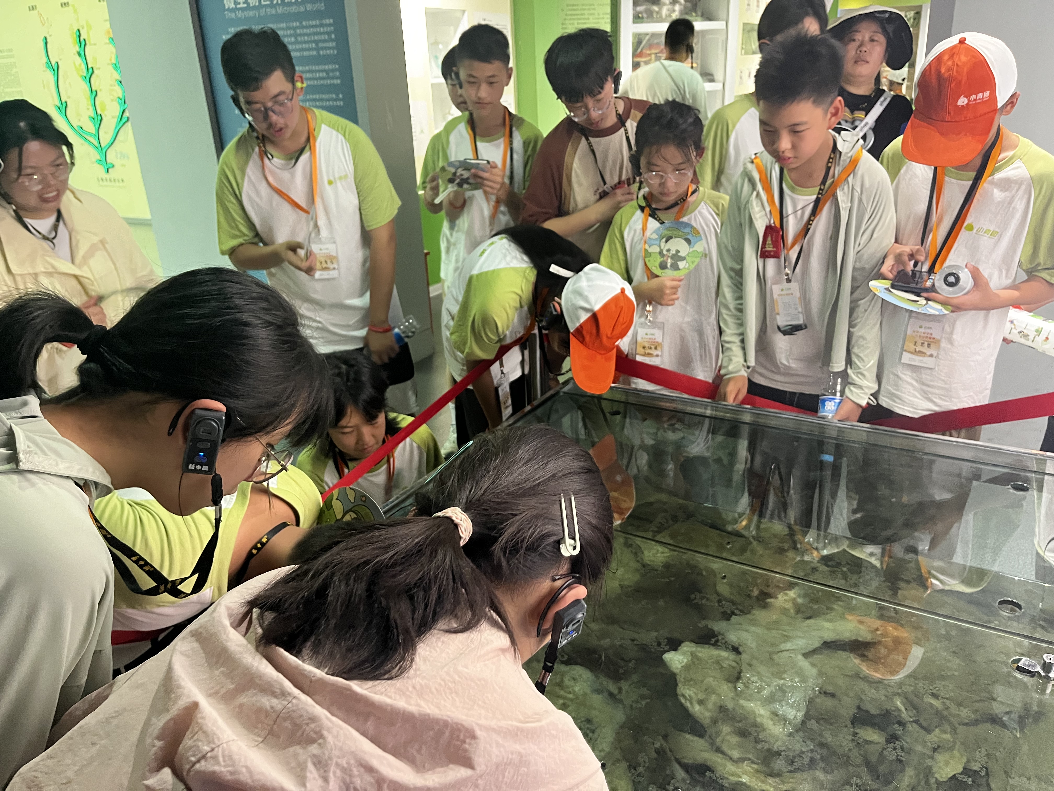 汉唐来我馆参加研学活动