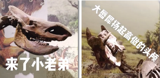 博物馆探秘活动完美收官