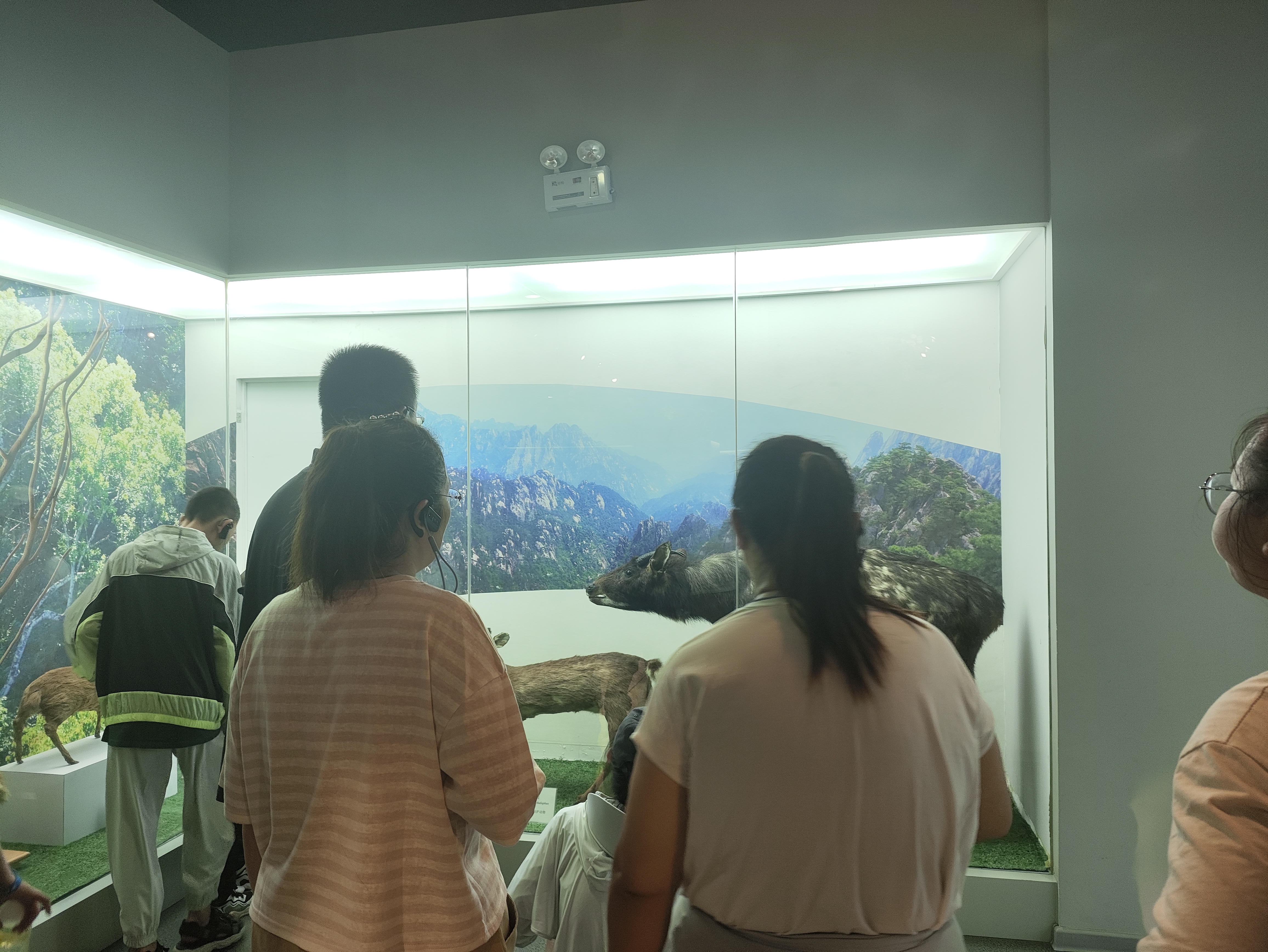 黄河研学来我馆参加研学活动